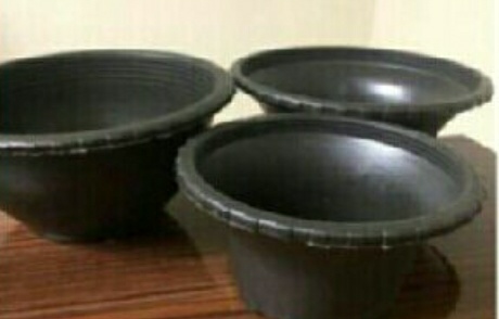 قیمت عمده گلدان پلاستیکی مخصوص گلخانه